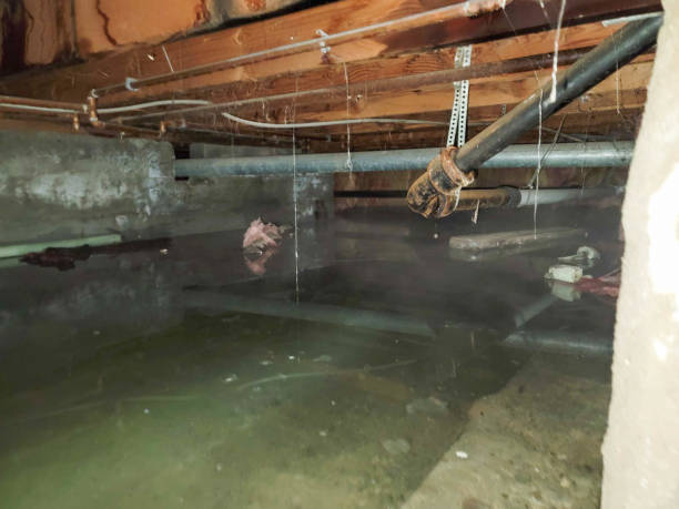 Best Basement water damage restoration  in Hopelawn, NJ