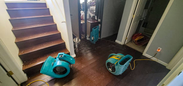 Best Mold removal after water damage  in Hopelawn, NJ