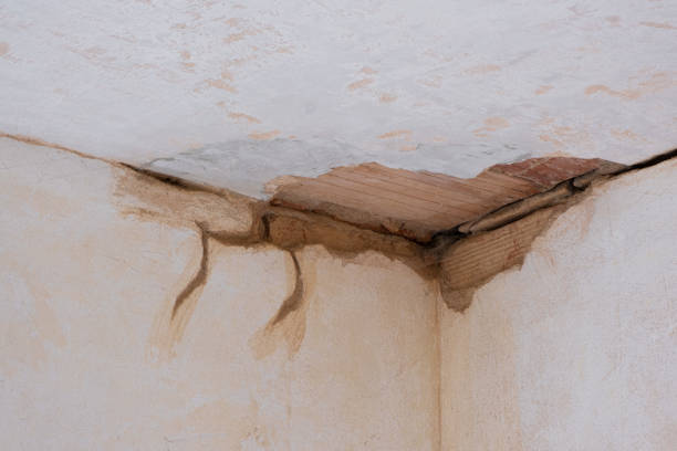 Best Ceiling water damage repair  in Hopelawn, NJ