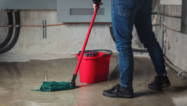 Best Flood damage cleanup  in Hopelawn, NJ