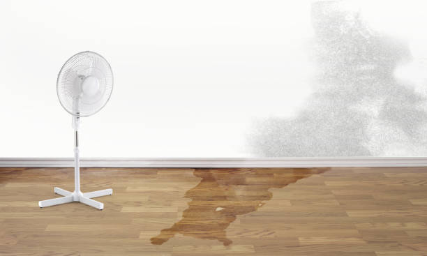 Best Sewage cleanup and water damage restoration  in Hopelawn, NJ