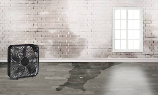 Best Water damage restoration cost  in Hopelawn, NJ