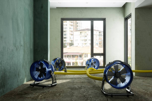 Best Local water damage restoration  in Hopelawn, NJ
