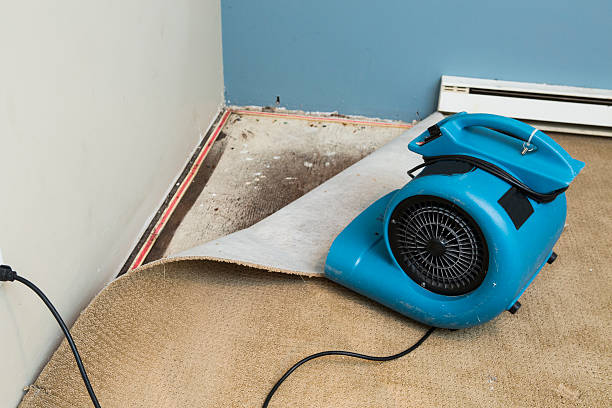 Best Carpet water damage restoration  in Hopelawn, NJ